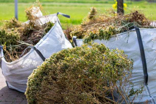Best Electronics and E-Waste Disposal  in Catawba, SC